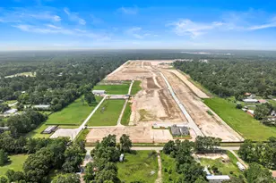 20842 Wildbird Cherry Ln, Porter, TX 77365 - Photo 24