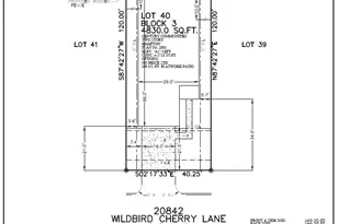 20842 Wildbird Cherry Ln, Porter, TX 77365 - Photo 26