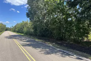 0 County Road 814 Rd, Brazoria, TX 77422 - Photo 1