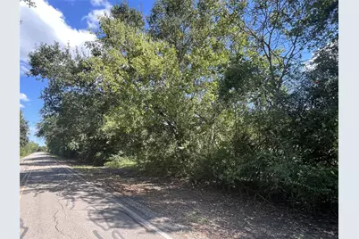 0 County Road 814 Road, Brazoria, TX 77422 - Photo 4