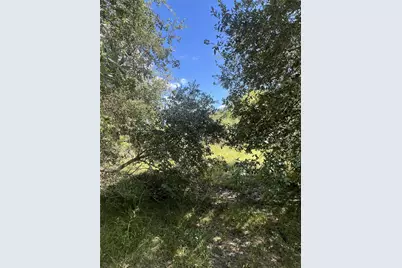 0 County Road 814 Road, Brazoria, TX 77422 - Photo 6