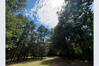 9806 State Highway 156, Coldspring, TX 77331 - Photo 38