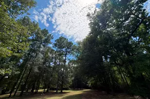 9806 State Hwy 156, Coldspring, TX 77331 - Photo 38