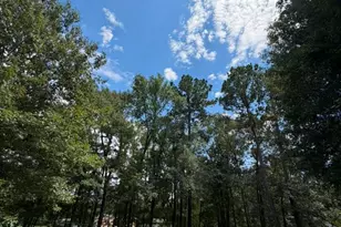 9806 State Hwy 156, Coldspring, TX 77331 - Photo 36