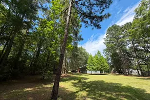 9806 State Hwy 156, Coldspring, TX 77331 - Photo 32