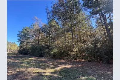 172 Grand View, Huntsville, TX 77340 - Photo 4