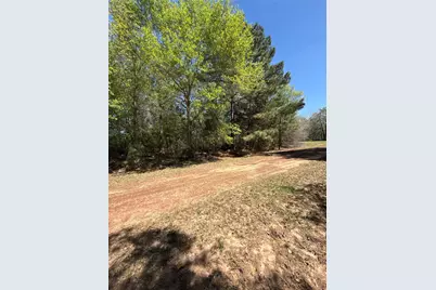 26842 Eagle Drive, Hempstead, TX 77445 - Photo 8