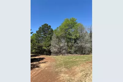 26842 Eagle Drive, Hempstead, TX 77445 - Photo 2