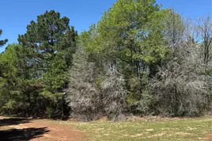 26842 Eagle Dr, Hempstead, TX 77445 - Photo 1