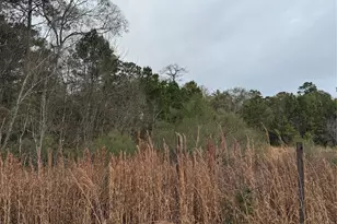 Tbd River E, Splendora, TX 77372 - Photo 2