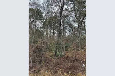 Tbd River E, Splendora, TX 77372 - Photo 4