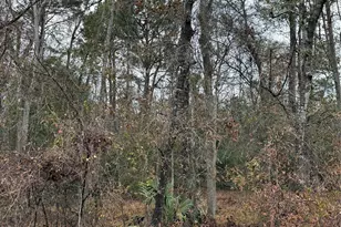 Tbd River E, Splendora, TX 77372 - Photo 4