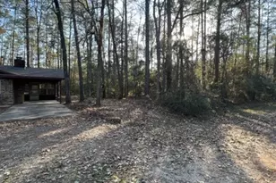 329 Blue Willow Dr, Village Mills, TX 77663 - Photo 2