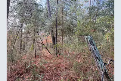 19423 Highway 190 E, Livingston, TX 77351 - Photo 14
