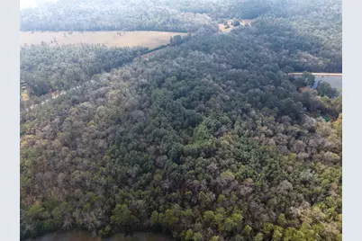 19423 Highway 190 E, Livingston, TX 77351 - Photo 6