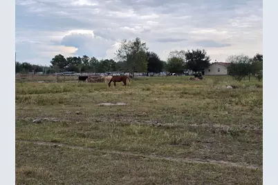 36847 Richard Frey Drive, Hempstead, TX 77445 - Photo 12
