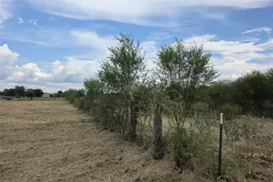 36847 Richard Frey Dr, Hempstead, TX 77445 - Photo 4