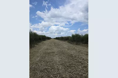 36847 Richard Frey Drive, Hempstead, TX 77445 - Photo 6