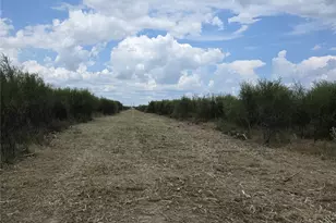 36847 Richard Frey Dr, Hempstead, TX 77445 - Photo 6