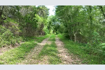 1359 County Road 208, Weimar, TX 78962 - Photo 8