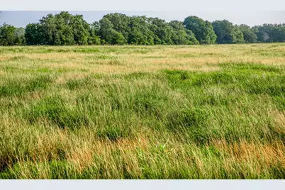 11630 Schuster Road, Round Top, TX 78954 - Photo 6