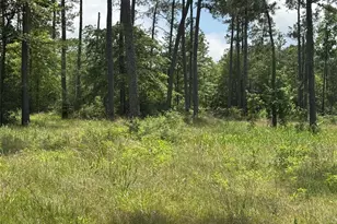 010 Private Road 6028 Tract 1-10, Brookeland, TX 75931 - Photo 10