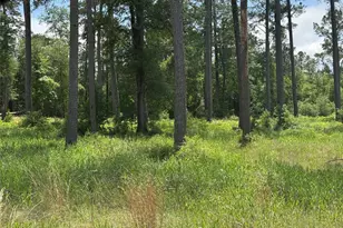 010 Private Road 6028 Tract 1-10, Brookeland, TX 75931 - Photo 2