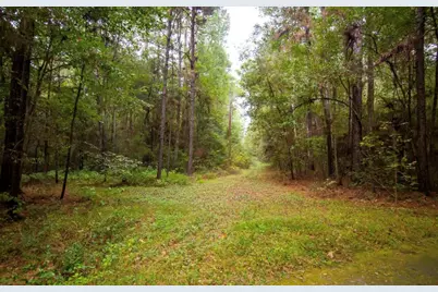 22550 Fm 149 Road, Montgomery, TX 77356 - Photo 6