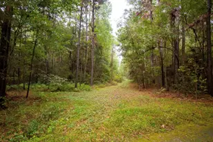 22550 Fm 149 Rd, Montgomery, TX 77356 - Photo 6