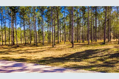 Tbd Rolling Pines Drive, Livingston, TX 77351 - Photo 1