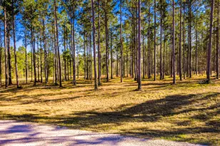 Tbd Rolling Pines Dr, Livingston, TX 77351 - Photo 1