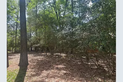 11331 Burning Tree Drive, Montgomery, TX 77356 - Photo 6