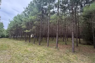 00 Cody Rd, Livingston, TX 77351 - Photo 1