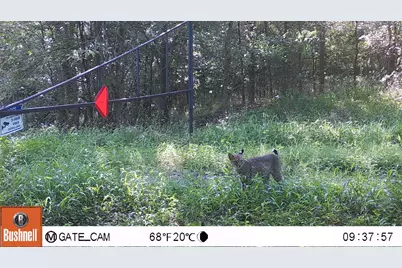 000 County Road 509 Off County Rd, Damon, TX 77430 - Photo 14