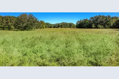 000 County Road 509 Off County Rd, Damon, TX 77430 - Photo 2