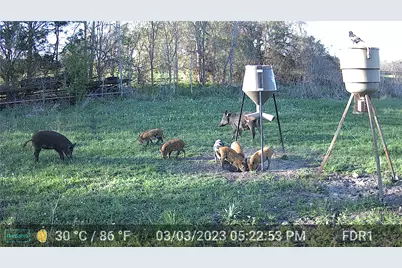 000 County Road 509 Off County Rd, Damon, TX 77430 - Photo 16