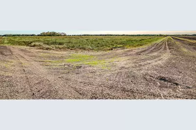 000 County Road 509 Off County Rd, Damon, TX 77430 - Photo 10
