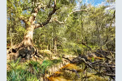 000 County Road 509 Off County Rd, Damon, TX 77430 - Photo 8