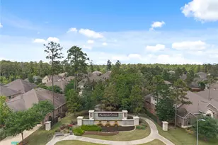 2607 Tree Swallow Bluff Path, Spring, TX 77389 - Photo 38