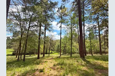 1878 Cr 131, Centerville, TX 75833 - Photo 12