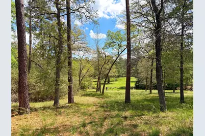 1878 Cr 131, Centerville, TX 75833 - Photo 4