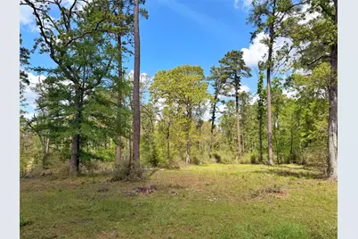 1878 Cr 131, Centerville, TX 75833 - Photo 16