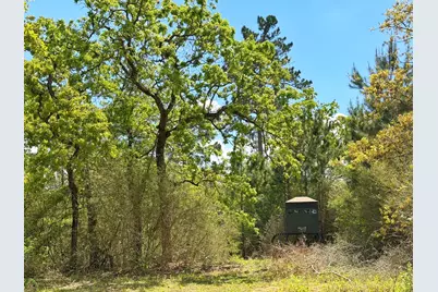 1878 Cr 131, Centerville, TX 75833 - Photo 6