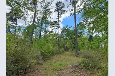 1878 Cr 131, Centerville, TX 75833 - Photo 18