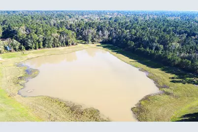 211 Brazen Forest Trail, Magnolia, TX 77354 - Photo 14