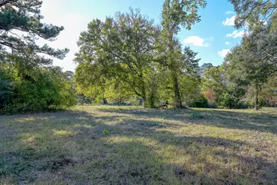 75 Acres Spring Branch Road, Montgomery, TX 77316 - Photo 12