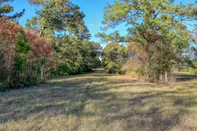 75 Acres Spring Branch Road, Montgomery, TX 77316 - Photo 4