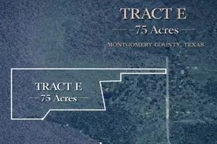 75 Acres Spring Branch Rd, Montgomery, TX 77316 - Photo 2