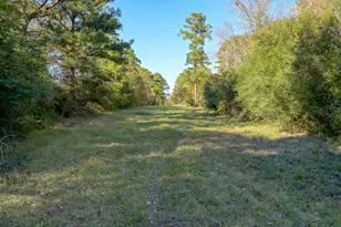 75 Acres Spring Branch Rd, Montgomery, TX 77316 - Photo 14