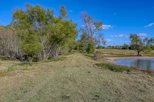 75 Acres Spring Branch Rd, Montgomery, TX 77316 - Photo 8